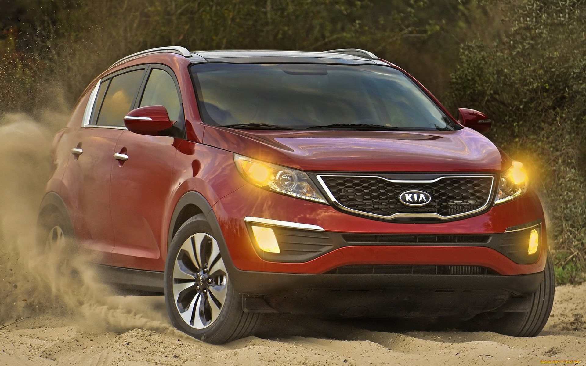 , kia, , sportage